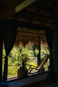 Pine Peak Bao Loc - Image 3
