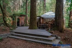 Your private Yurt in the woods - Nevada City - Image 1