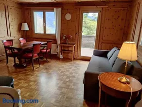 Grosse 2 ZImmer Wohnung mit Terrasse - Image 1