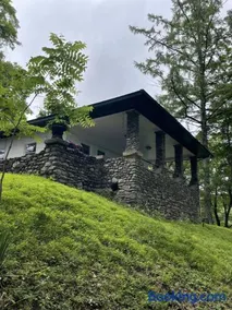 Jake Anthony, Historic Castle at Saylors Lake - Image 2
