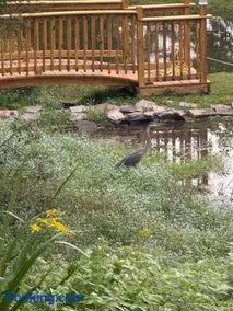 Susquehanna Waterfall Haven - Image 4