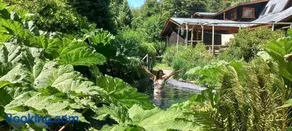 Pucón Volcano Forest SPA - Image 2