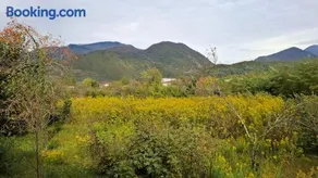 Ezo - Image 3