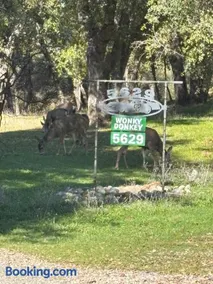 Wonky Donkey Den 30 mi to Yosemite Arch Entrance - Image 4