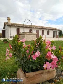 AGRITURISMO " LE SERRE" - Image 1