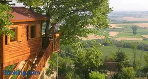 Casa sull'Albero Aromantica - Image 1