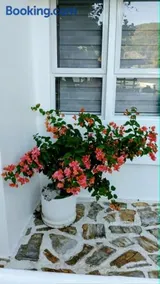 Casa Nenen - Image 3