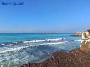 دور كامل في فيلا علي البحر مباشره شهر العسل العجمي الاسكندريه - Image 4