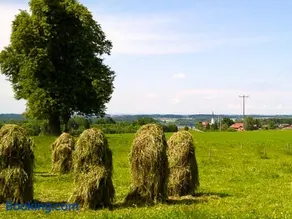 Huberhof - Image 2