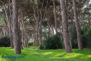Hotel Parco dei Pini - 100mt dal Mare - Image 1