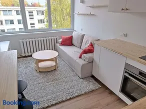 Stylish Studio in Central Vilnius II - Image 1