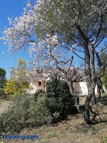 Les romarins - Image 1