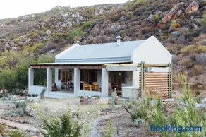 Cederkloof Botanical Retreat - Image 3