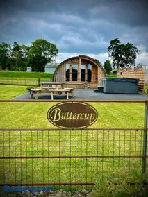 Buttercup - Image 4