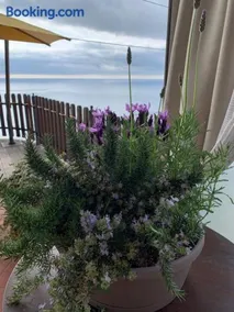 Hotel Rosita - Image 2