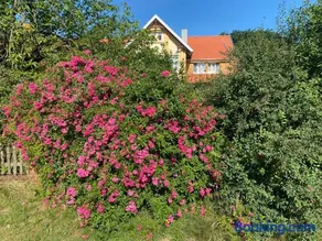 Neulandhof Spöring - Image 2