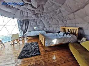 Dome One with Hot Tub, Lincoln, Projector, Firepit - Image 4