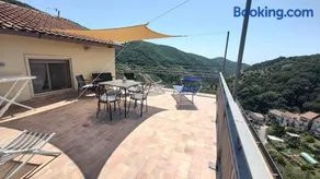 Cerasa - Image 1
