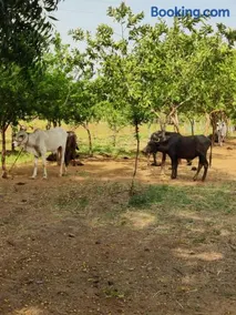 Moturi Farmstay Vemulawada - Image 2