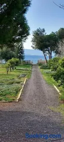 Coralia's beachfront sea view studio - Image 2