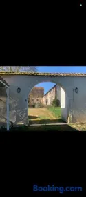 La Colonie - Image 2