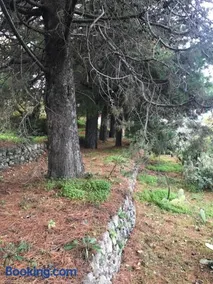 Casa Vacanze Etna - Image 2