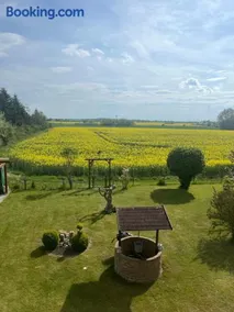 Schöner Blick - Image 2