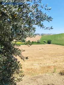 La Casa del Duca - Image 2
