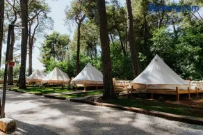 Camp 'Dvor' bell tent accommodation - Image 4