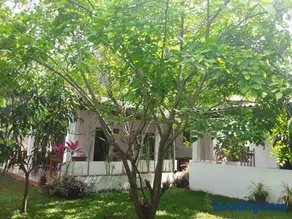Disna Homestay - Image 1