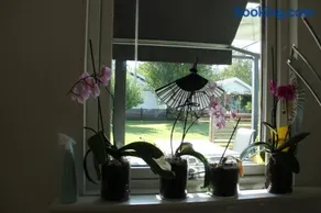 Private room for rent in a villa with garden view - Image 4