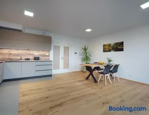 Apartment Brno-Poděbradova - Image 1
