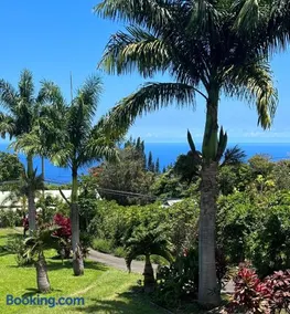 Hawaii Getaway - Image 3