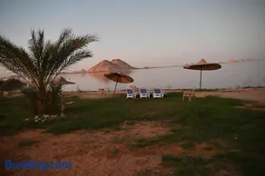 Habib Camp - Image 3