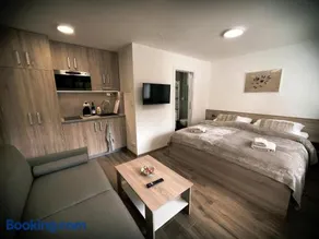 U Králíka, přízemní bezbarierové apartmány A,B,C,D - 50 metrů od vleku - přejdete v lyžácích, pod bobovou dráhou, parkování zdarma, lyžárna s vysoušeči bot, nový aquapark v docházkové vzdálenosti - Image 3