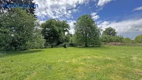 La cabane de la mésange - Image 2