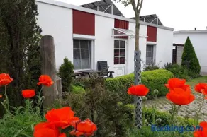 Zwischen Meer und Bodden App 04 - Image 1