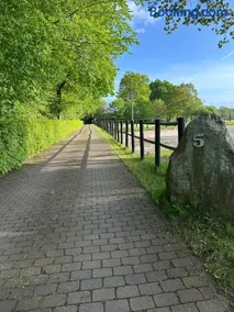 Carpe Deimern in der Lüneburger Heide - Image 2