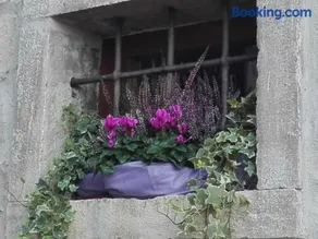 B&B Il Belvedere - Image 3