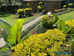 Zoe Homes 1br and 2br Cottage own compound -Kericho town near Green Square mall - Image 3