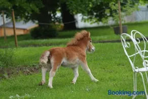 Gite du Centaure - Image 3