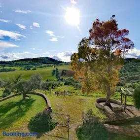 Fattoria Tolomei - Image 4