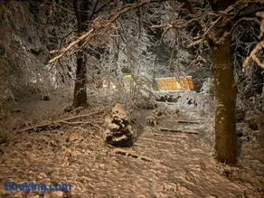 Pine Hill - Image 3