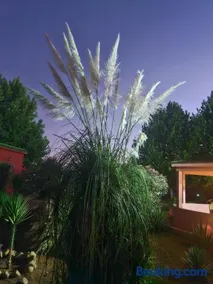 Casa Sofia - Image 3