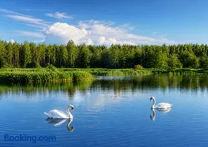 Lake Escape - Camp, Fish, Relax - Image 5