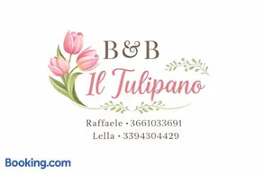 Il Tulipano Camera con bagno privato a Marcianise - Image 1