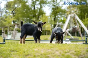 Glamping Ackersate - Image 2