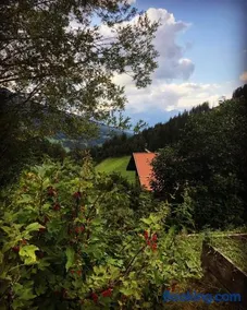 Zirkenhof - Image 2