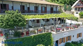 Ammos papanero - Image 4