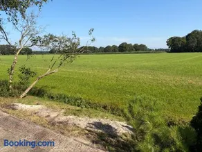 benbmeestervankampen - Image 2